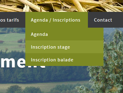 Nouveau sur Fagotin.be : l’inscription en ligne !